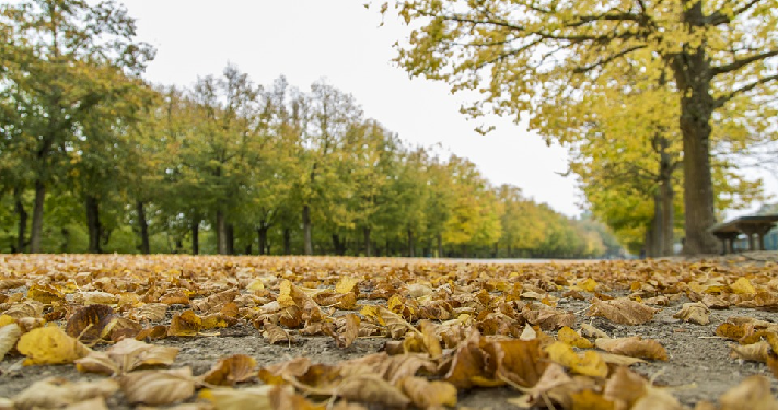 Antara Niat dan Keikhlasan