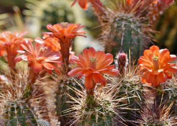 Bolehkah Mengungkapkan Keburukan Saat Didzalimi?