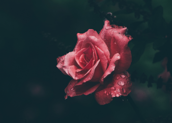 Jodoh Allah itu Indah