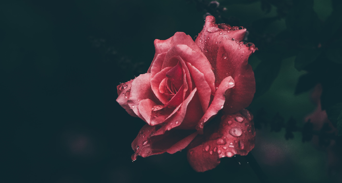 Jodoh Allah itu Indah