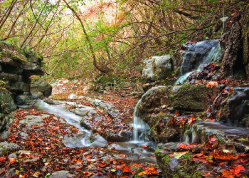 Imam Ahmad bin Hanbal