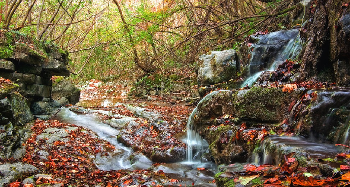 Imam Ahmad bin Hanbal