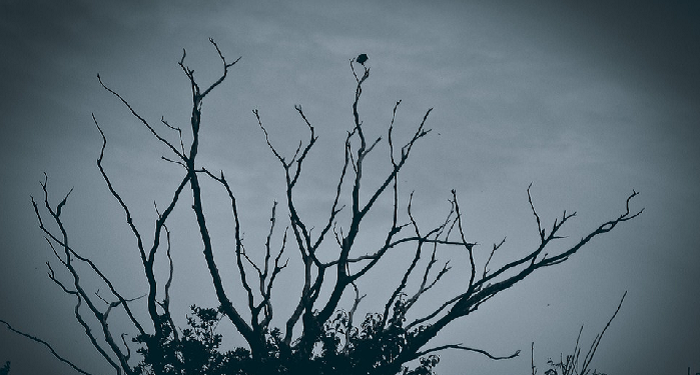 Riya adalah Bagian dari Syirik