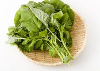 Masker Bayam  Ternyata Bisa Cegah Penuaan Dini