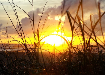 Bertaubatlah Sebelum Matahari Terbit