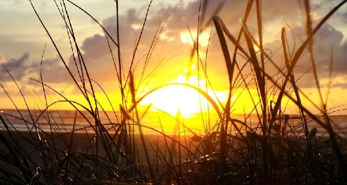 Bertaubatlah Sebelum Matahari Terbit