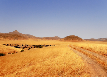 Ketika Rasulullah Menunjuk Pemimpin