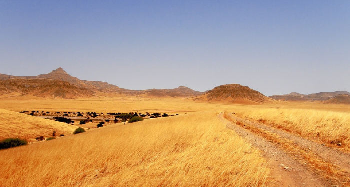 Ketika Rasulullah Menunjuk Pemimpin