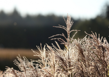 Pendengar yang Baik itu Bernama Muhammad