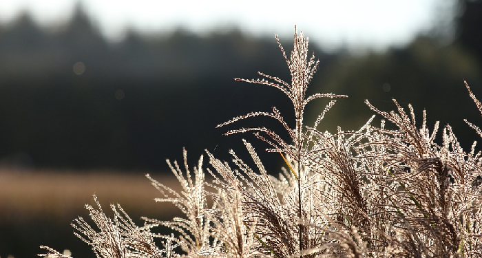 Pendengar yang Baik itu Bernama Muhammad