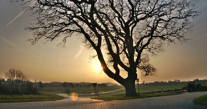 Saat Umar bin Khathab pun Diam