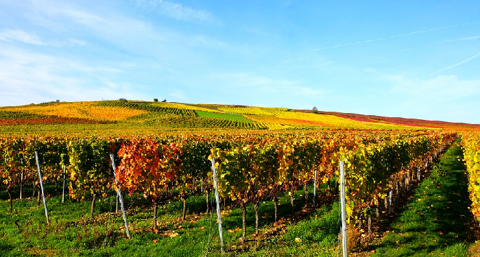 Ketaatan Sebab Turunnya Rahmat