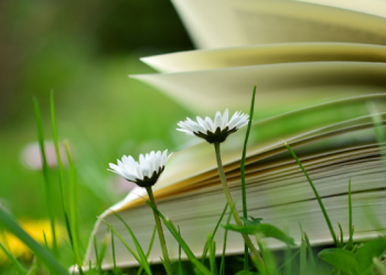 Qudwah Sebelum Dakwah