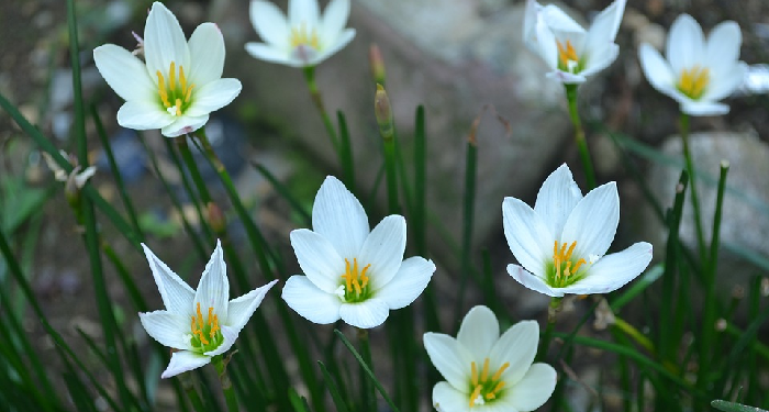 Ucapan Terima Kasih sebagai Tanda Syukur