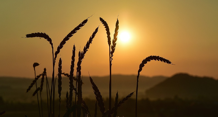 Shalat Subuh Kesiangan