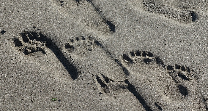 Pencuri yang Diselamatkan oleh Seorang Mufti yang Akan Dicurinya  (1)