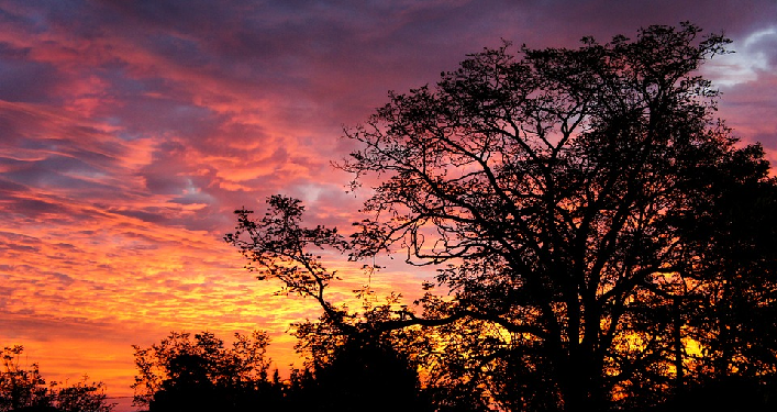 Inilah Para Malaikat yang Selalu Bersama Manusia