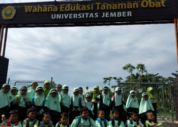Serunya Wisata Edukasi Tanaman Obat SD Islam Imam Syafi'i Jember