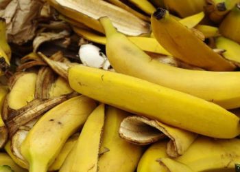 Wow, Kulit Pisang Jangan Dibuang, Bisa Dipakai Atasi Jerawatmu