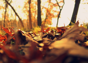 Tips Berhijab Sesuai Syariat