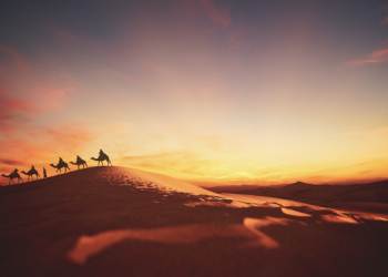 Amr bin Jumuh Dilarang Mengikuti Perang oleh Nabi