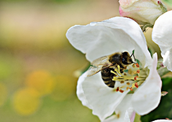 Sedekah yang Terbaik