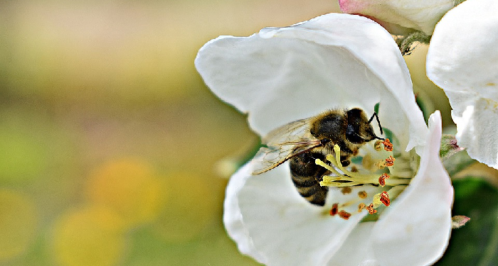 Sedekah yang Terbaik