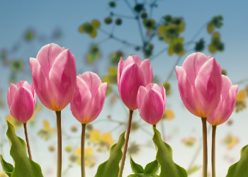 Siapa yang Berhak Menentukan Sikap Kita?