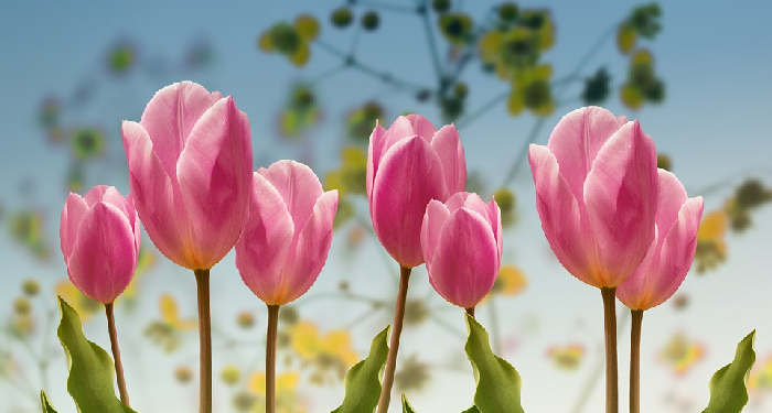 Siapa yang Berhak Menentukan Sikap Kita?