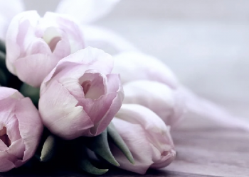 Ya Allah, Inilah yang Membuatku Malas Beribadah