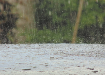 Tiada Tahun Berlalu Tanpa Turun HujanTiada Tahun Berlalu Tanpa Turun Hujan