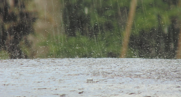 Tiada Tahun Berlalu Tanpa Turun HujanTiada Tahun Berlalu Tanpa Turun Hujan