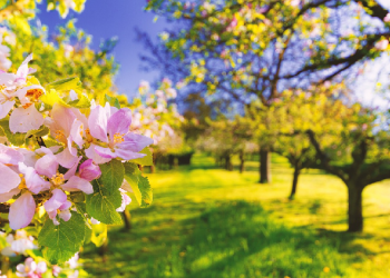 Menjenguk Lawan Jenis Bukan Mahram yang Sakit