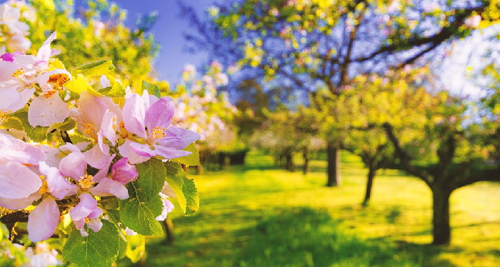 Menjenguk Lawan Jenis Bukan Mahram yang Sakit