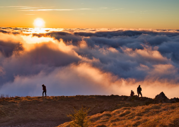 Kisah Musafir yang Menjadi Pemimpin