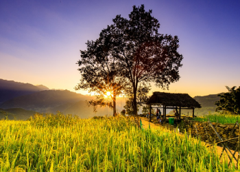 Dua Sikap Mukmin: Sabar dan Sukur