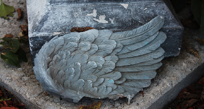 Bagai Sayap Burung yang Patah