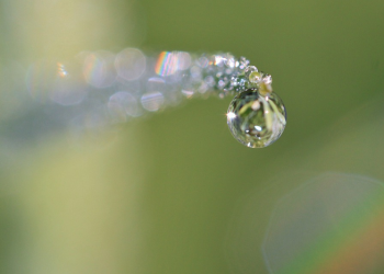 Syukuri yang Ada, Kau Kan Bahagia