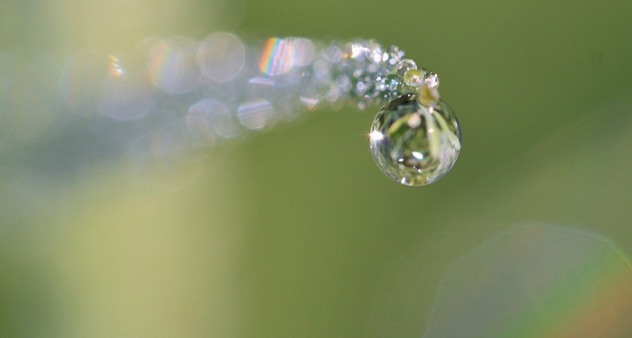 Syukuri yang Ada, Kau Kan Bahagia