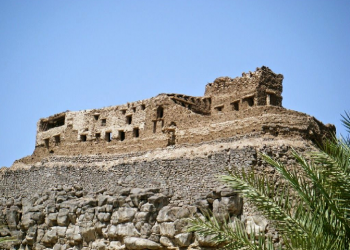 Umar yang Peduli Pada Generasi Setelahnya