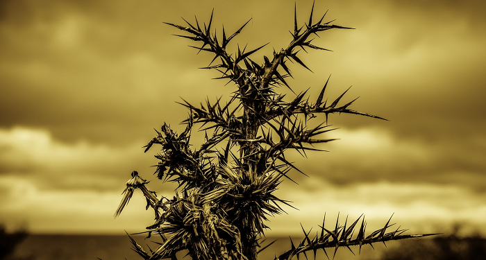 Kesombongan yang Bertentangan dengan Iman