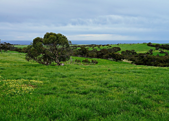 Kisah Dua Pemilik Ladang dalam Al Kahfi