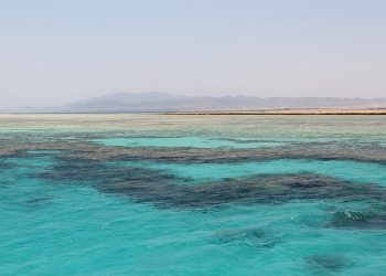 Ingatlah Firaun Tenggelam Di Puncak Kezalimannya