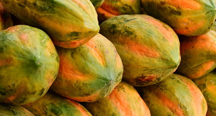 Resep Sehat Puding Pepaya 