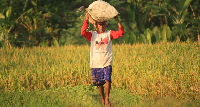 Rumahku Banjir, Kasihan Petani Tetanggaku
