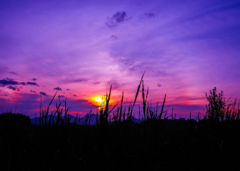 Jagalah Para Pewaris Nabi