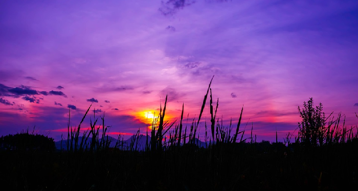 Jagalah Para Pewaris Nabi