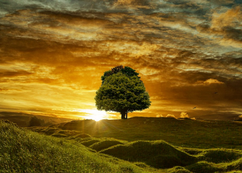 Ismyah Rokayah: di Manapun Berada, Allah di Situ Pula