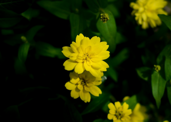 Nasihat Imam Ghazali tentang Delapan Pergaulan