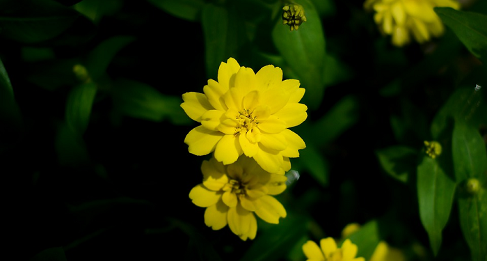 Nasihat Imam Ghazali tentang Delapan Pergaulan